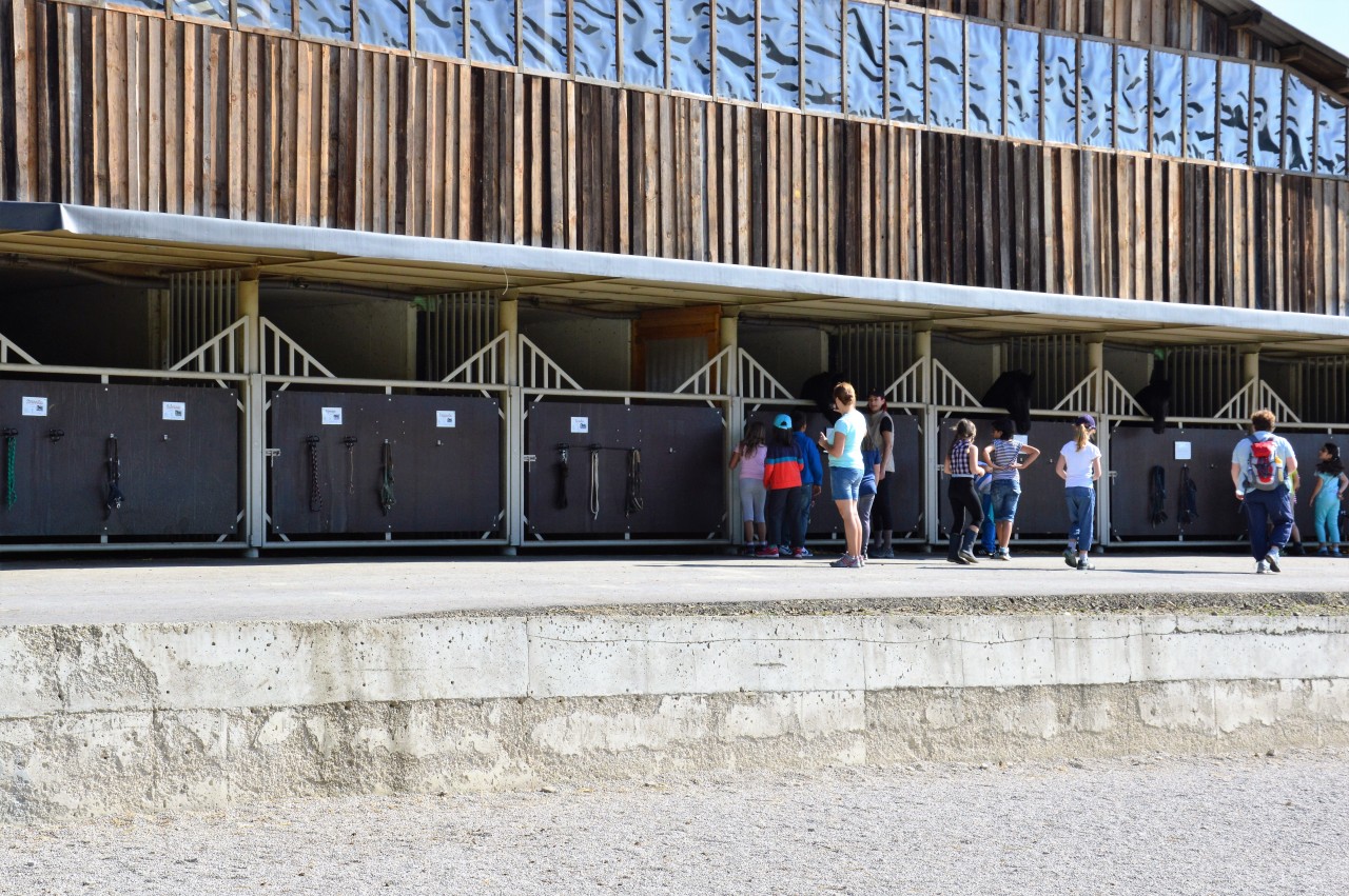 Unsere Privat-Reitanlage in Regau